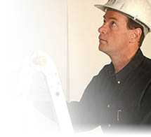 inspectors
